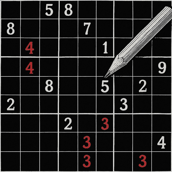 Sudoku Game